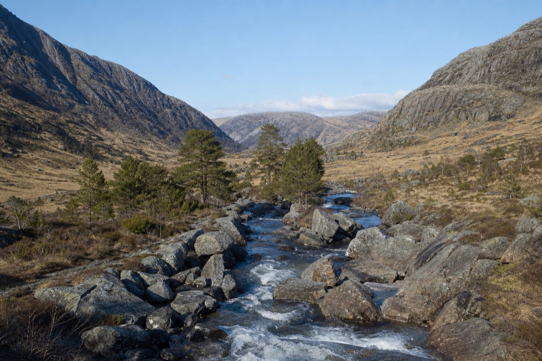 Dry inland Norwegian valley with pale grass, scattered pines and bare grey mountains under a clear blue sky