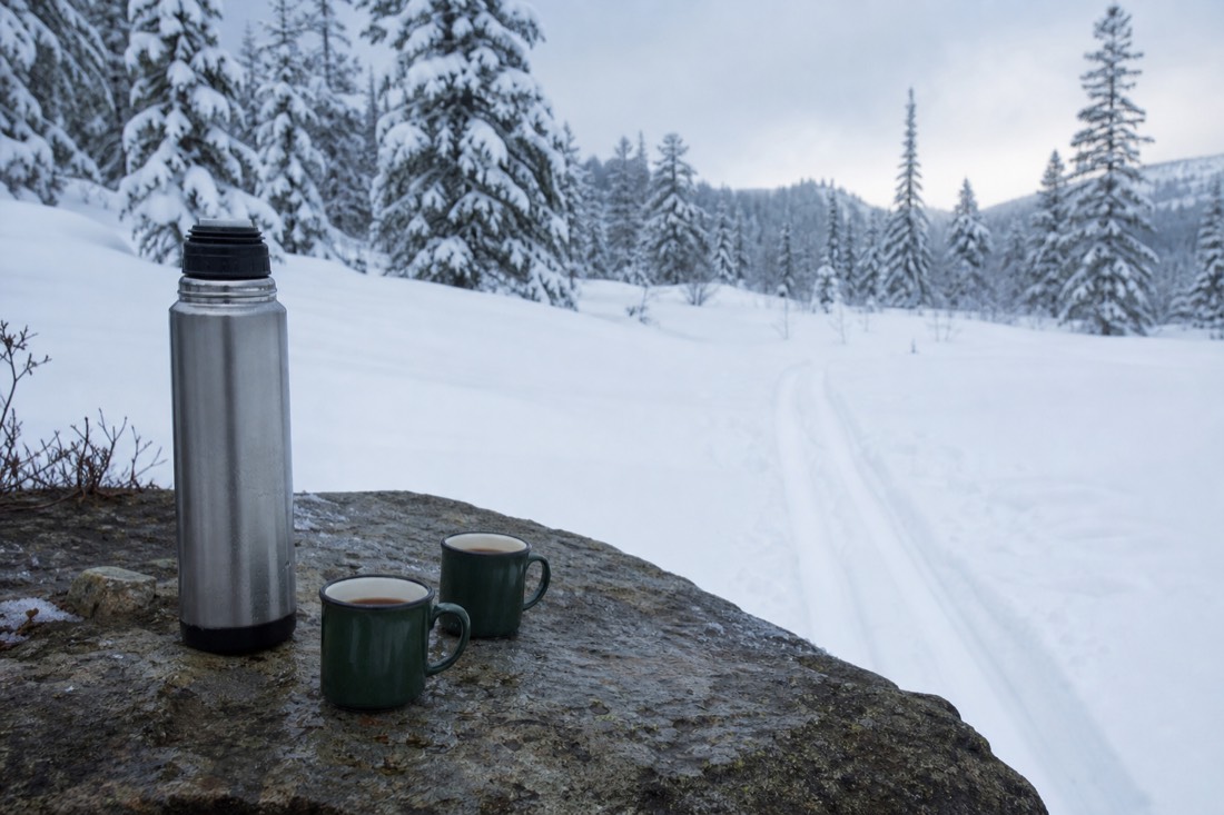 Thermos and enamel cups on a flat rock beside a marked winter ski track through snow-loaded spruce