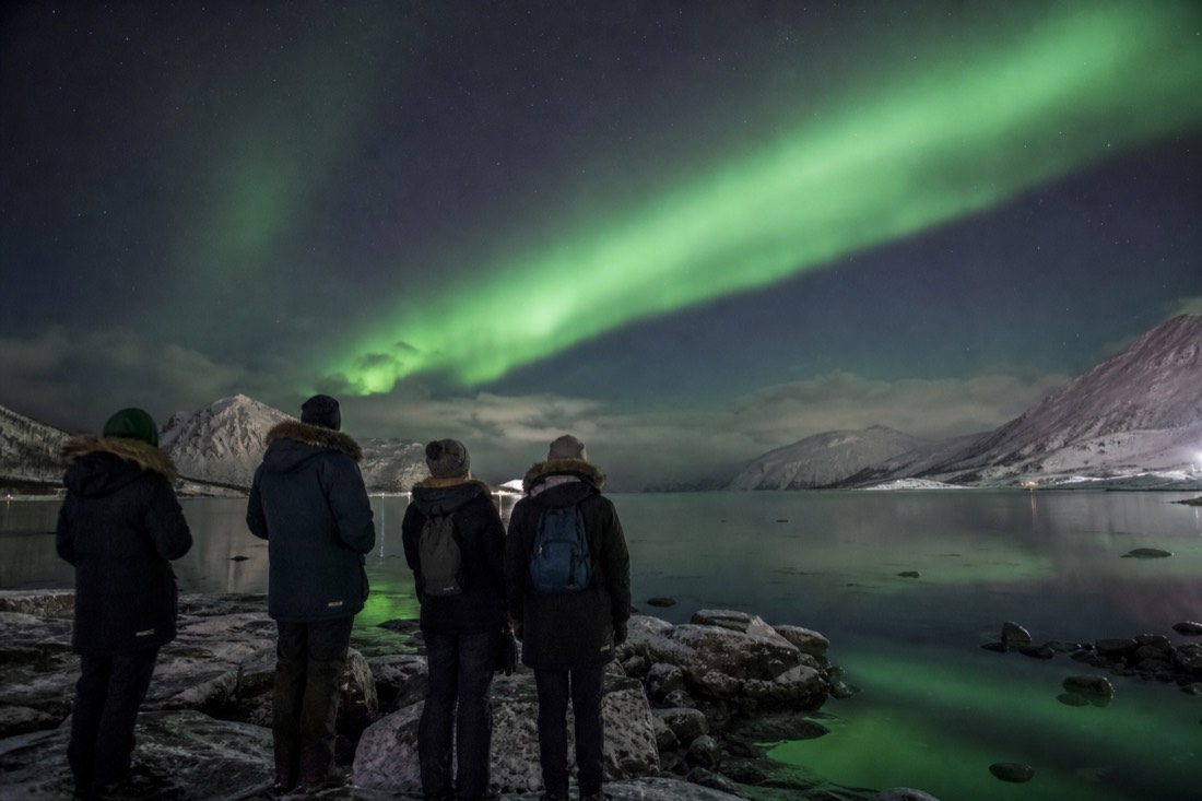 A small group in thermal suits watching a bright green aurora arc over a snowy clearing outside Tromso
