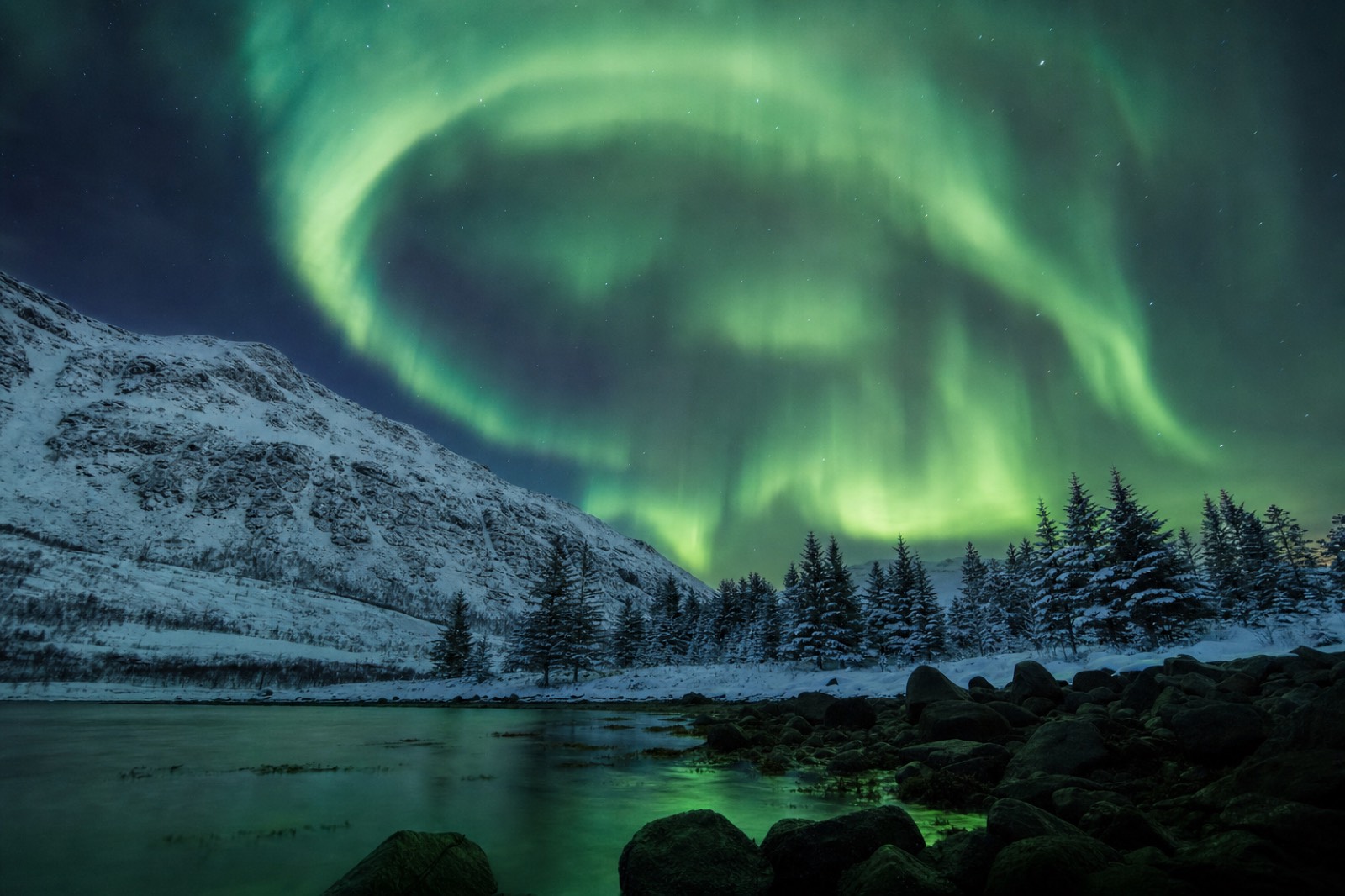 A vivid aurora corona directly overhead in a dark sky above snow-covered pines near Tromso