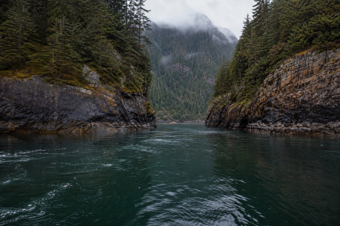 Narrow tidal strait between rock walls with dark green water and forested slopes above