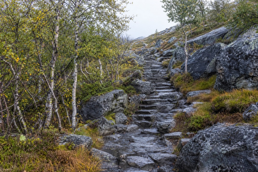 Stone staircase path built into a boulder field climbing through low birch scrub in Norway