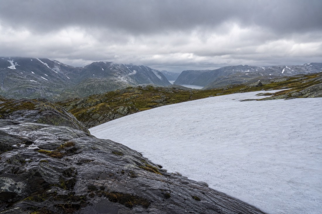 Late spring snowfield lying across a high Norwegian hiking trail with bare rock and moss around it