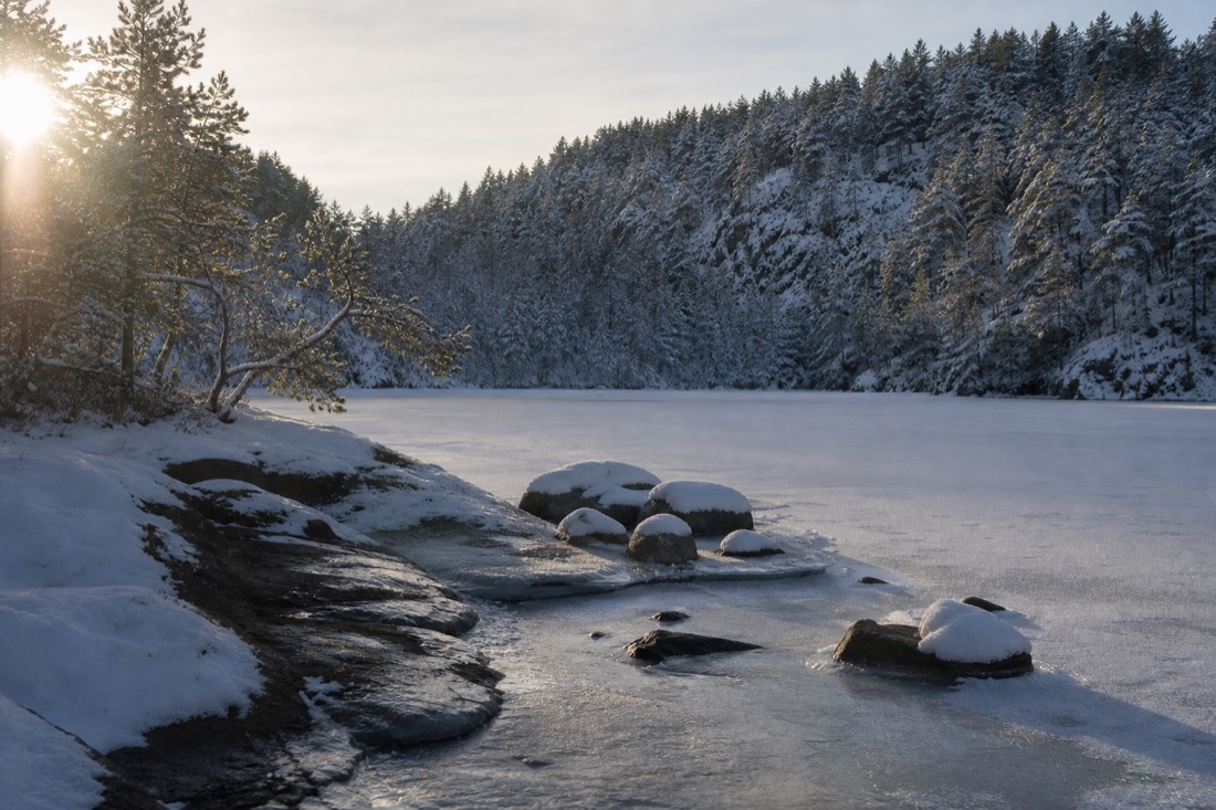 Frozen inland lake and snow-laden pine forest under low winter sun in eastern Norway