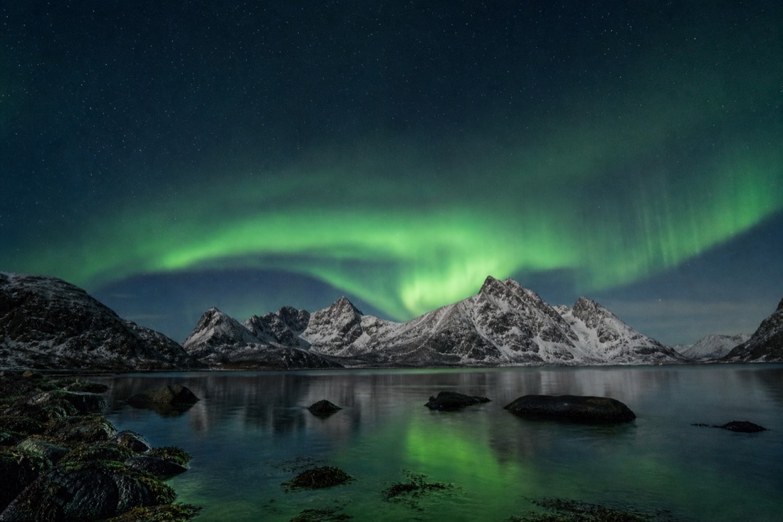 Green aurora arcing over snowy peaks and a still fjord on a clear Arctic night