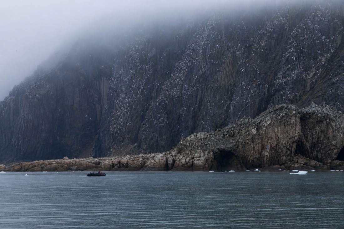 Small zodiac boat approaching a rocky Svalbard shoreline below a bird cliff with fog on the water