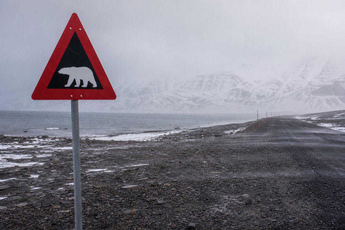 Signpost at the edge of Longyearbyen warning of polar bears beyond, snow drifting across gravel road